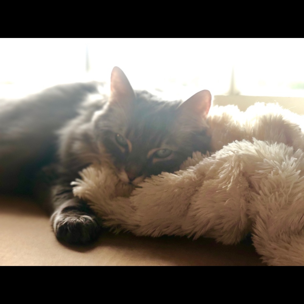 Meet your Posher, Jennifer